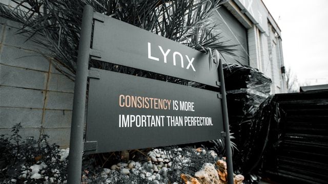 Brand touchpoints showcasing consistent messaging and visuals